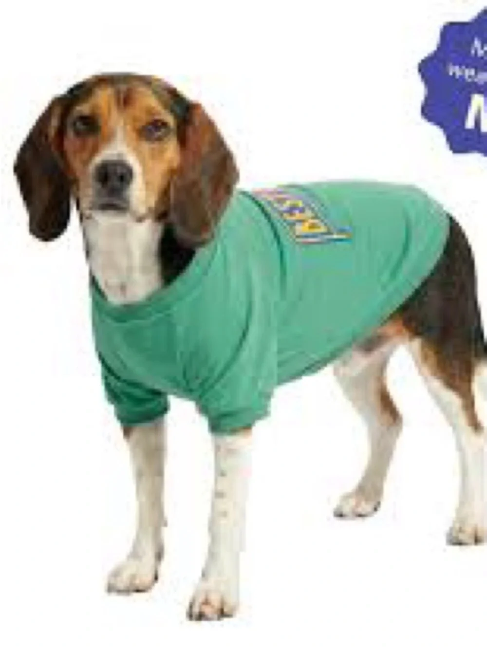 Oodles Green Best Buddy Graphic Dog Shirt Clothes Small